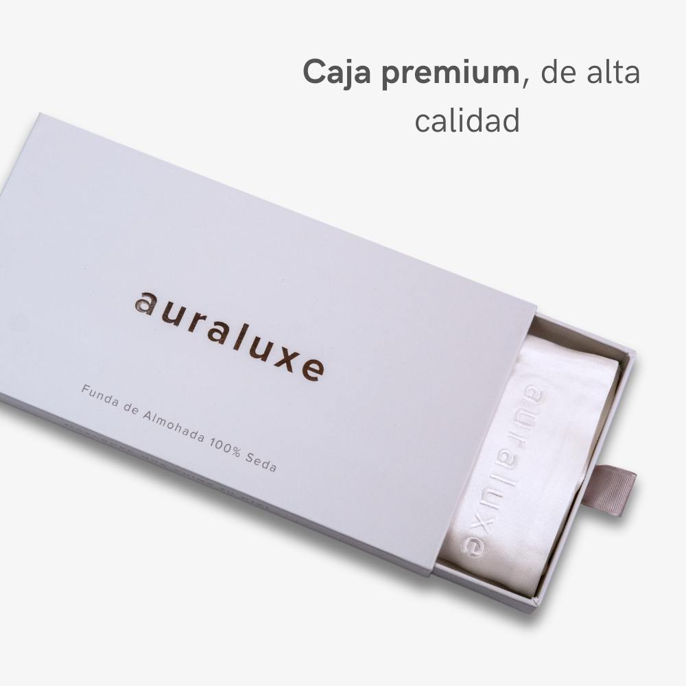 Set 2 Fundas de Seda Queen Blanco