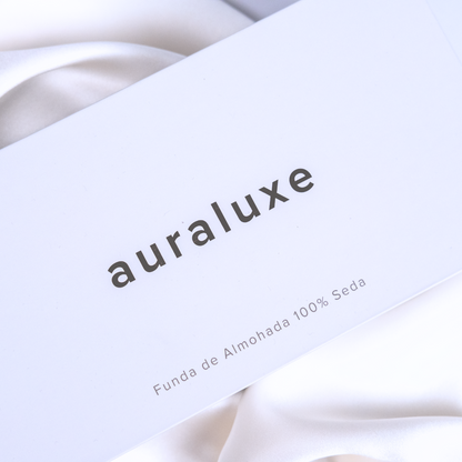 Set 2 Fundas de Seda Queen Blanco