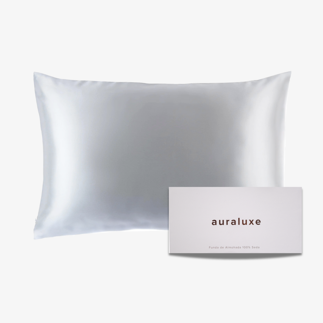 Set 2 Fundas de Seda Queen Gris